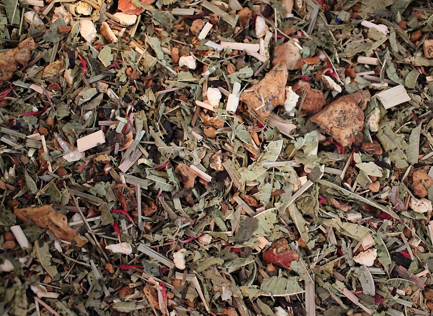 Citro-Kick Biotee – Frische Kräuter-/Früchteteemischung mit Zitrone & Melisse