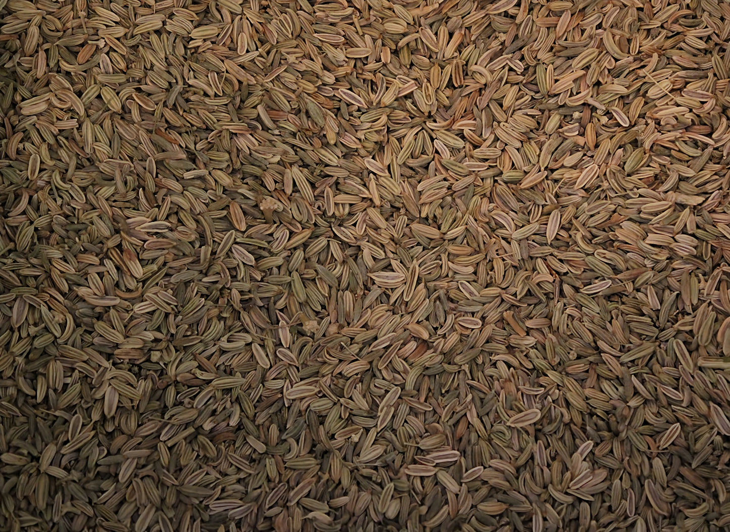 Fenchel Süß Biotee – Ganz Natürliches Wohlbefinden in Jeder Tasse