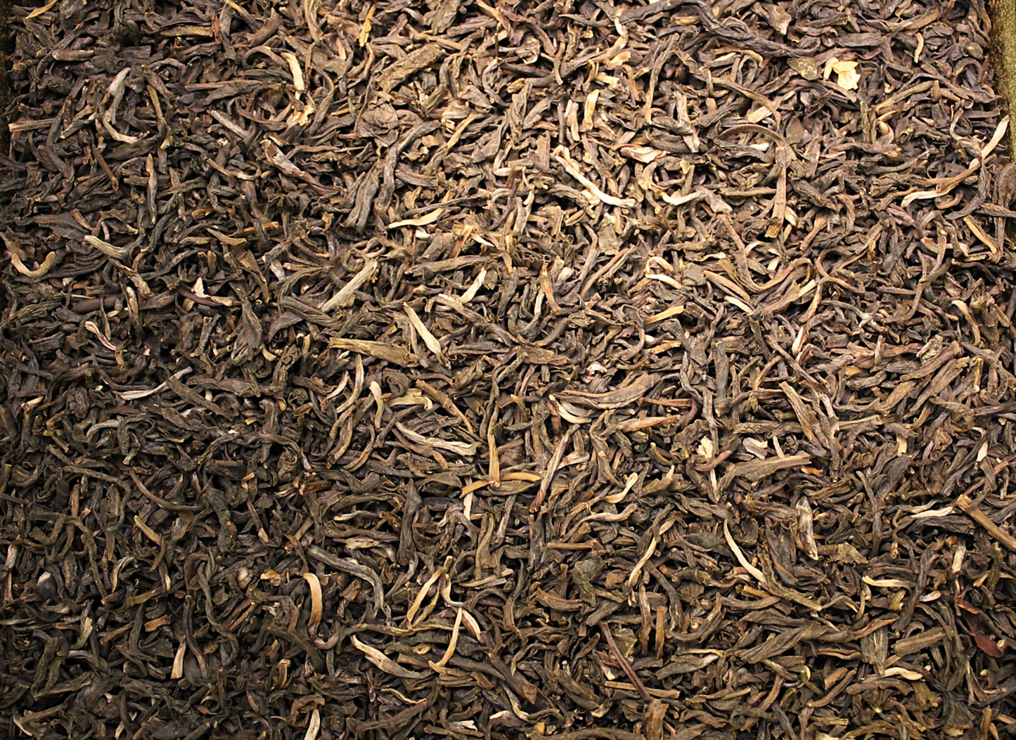 China Jasmin Biotee – Grüner Tee mit Jasmin