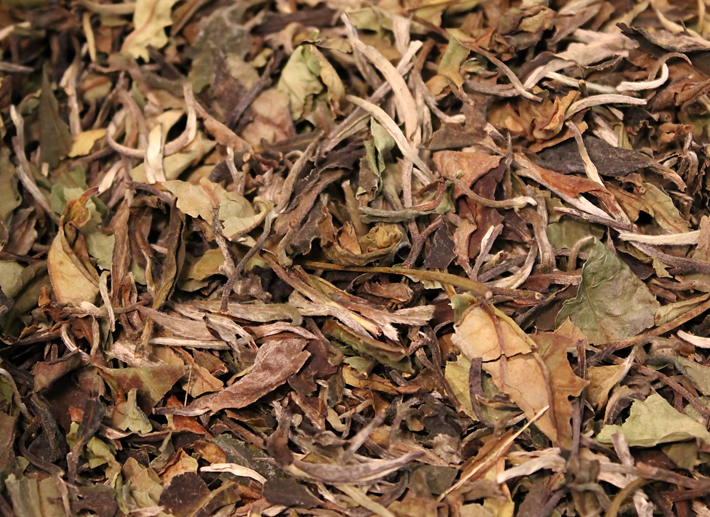 China Pai Mu Tan Std 6901 Biotee – Weißer Tee mit Zarten Pfirsichnoten