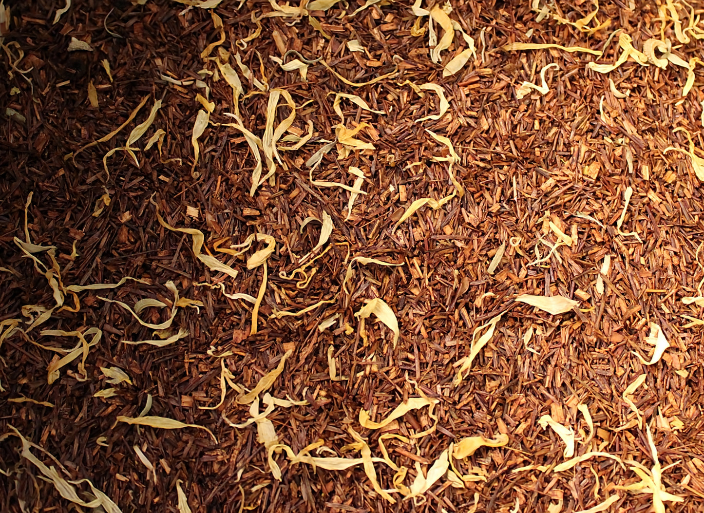 Vanille Bio-Tee – Natürlich Aromatisierter Rooibos-Tee mit Bourbon Vanille
