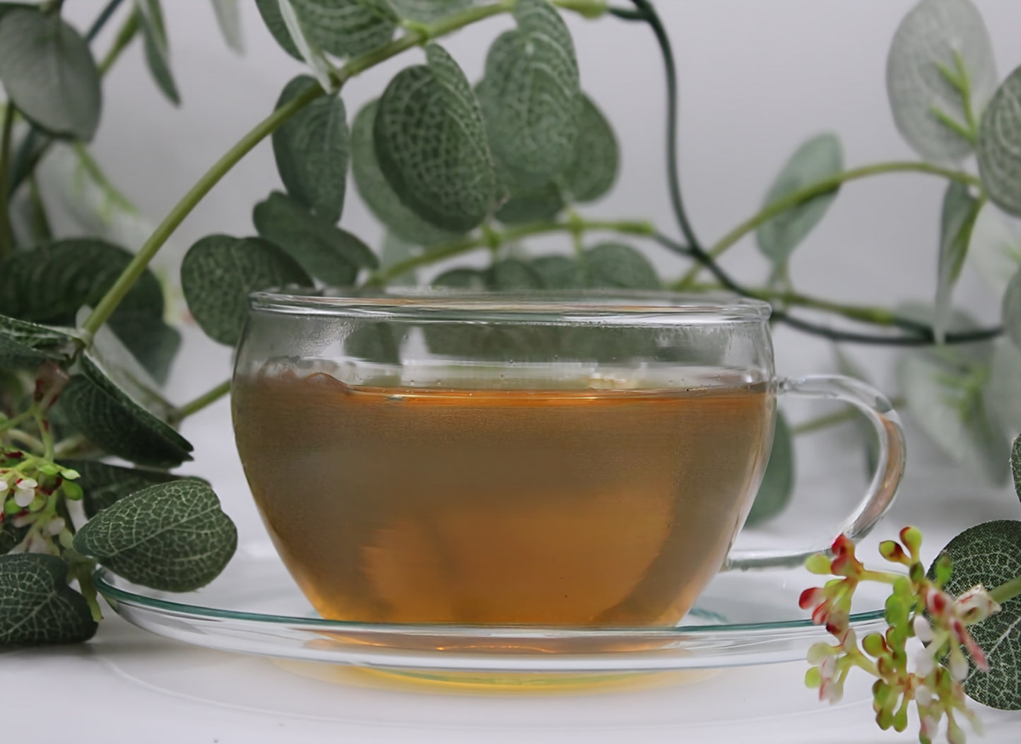China Jasmin Biotee – Grüner Tee mit Jasmin