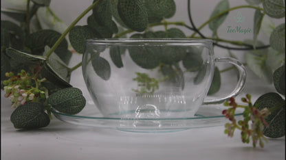China Jasmin Biotee – Grüner Tee mit Jasmin